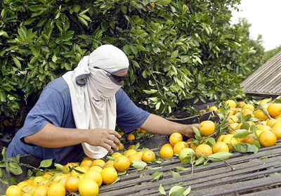 Con đường chông gai của một du học sinh